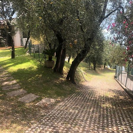 La Casa Sul Lago Apartments - Olive Tree Apartment ليمونِ سول غاردا المظهر الخارجي الصورة