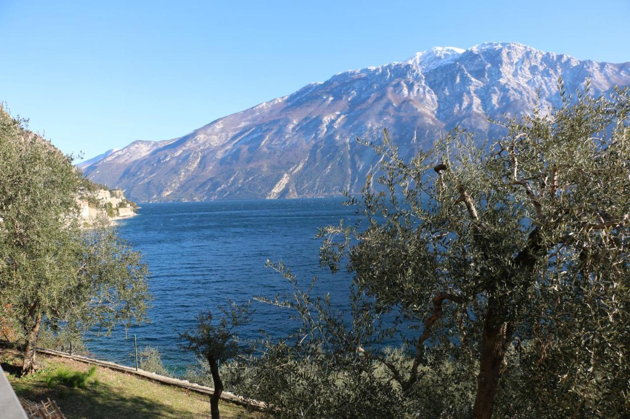 La Casa Sul Lago Apartments - Olive Tree Apartment ليمونِ سول غاردا المظهر الخارجي الصورة