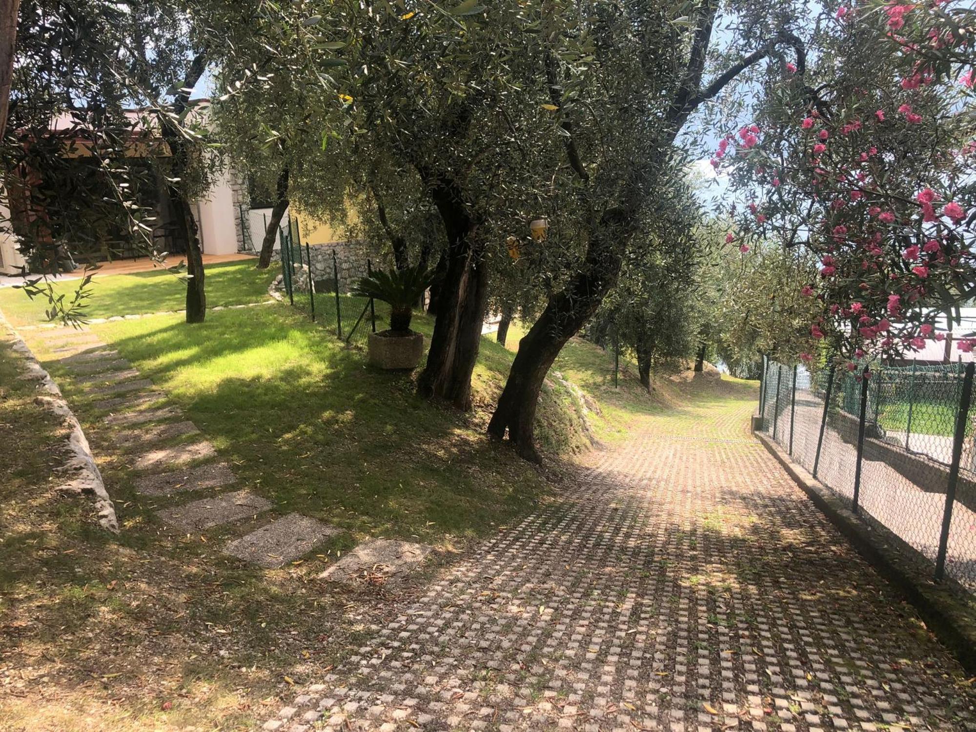 La Casa Sul Lago Apartments - Olive Tree Apartment ليمونِ سول غاردا المظهر الخارجي الصورة