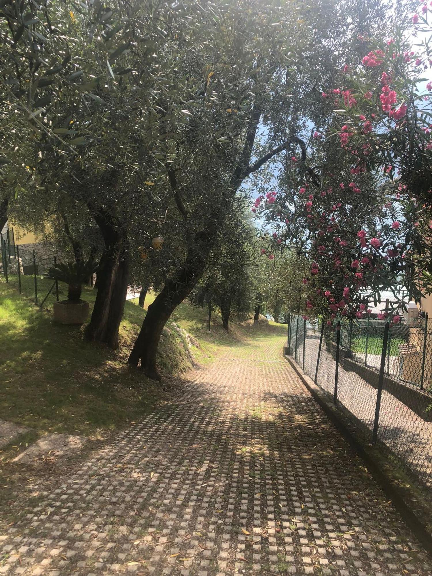 La Casa Sul Lago Apartments - Olive Tree Apartment ليمونِ سول غاردا المظهر الخارجي الصورة
