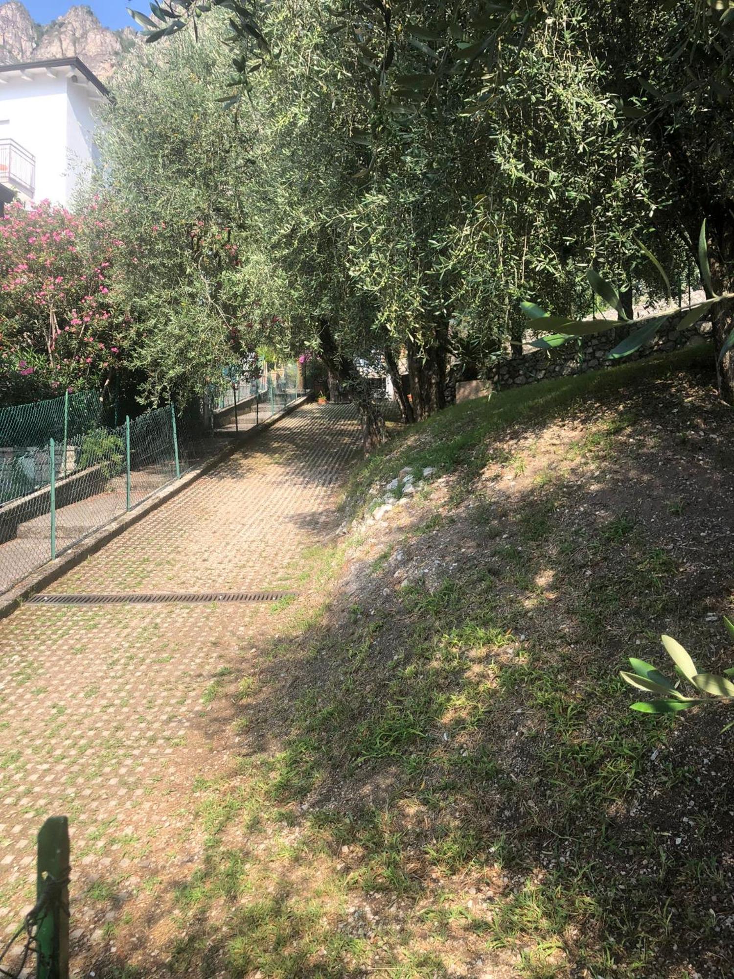 La Casa Sul Lago Apartments - Olive Tree Apartment ليمونِ سول غاردا المظهر الخارجي الصورة